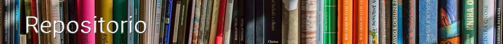 mimp repositorio observatorio nacional