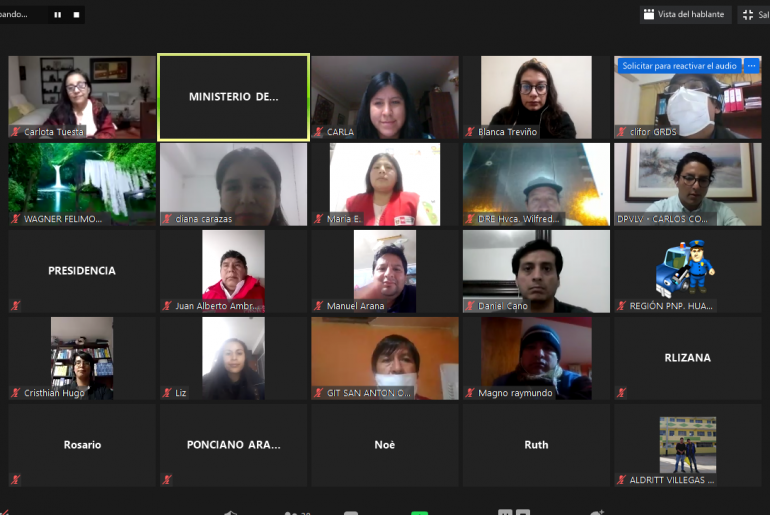 Instancia Regional de Concertación de Huancavelica ratifica su compromiso para la prevención y atención de los casos de violencia de género durante el Estado de Emergencia
