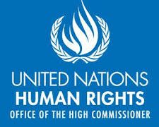 logo for united nations human rights covid