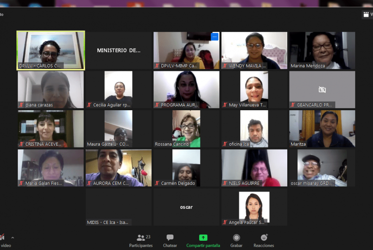 Instancia Regional de Concertación Ica