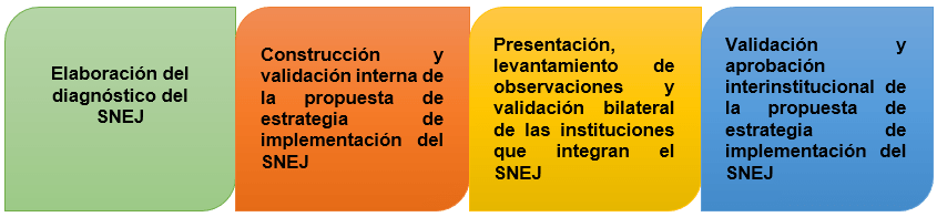 Acciones para la elaboración y validación de propuesta de estrategia de implementación SNEJ