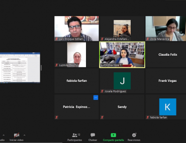 Reunión Virtual de Validación Bilateral entre el equipo técnico SNEJ y Ministerio de Justicia y Derechos Humanos