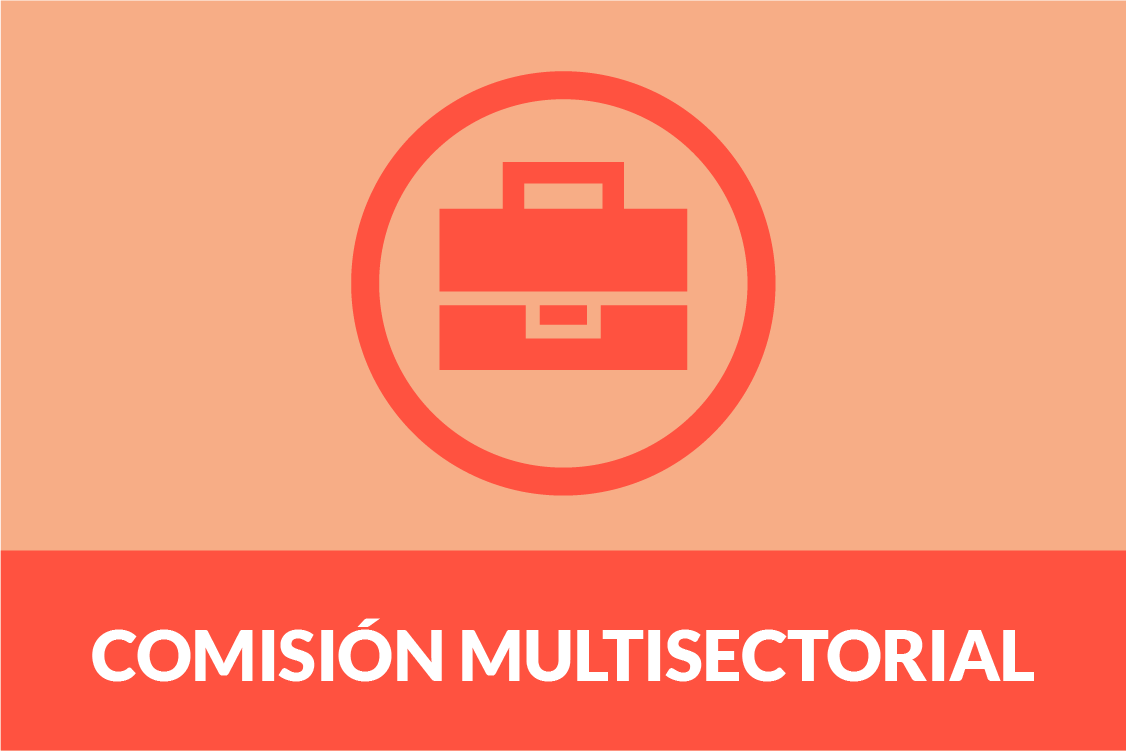 comisión multisectorial - Plan de Acción Conjunto