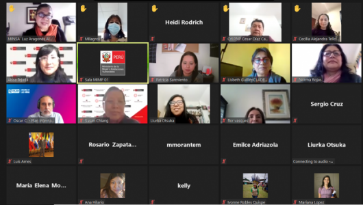 GTN: aborda la violencia obstétrica y plantea hacer modificaciones en su denominación