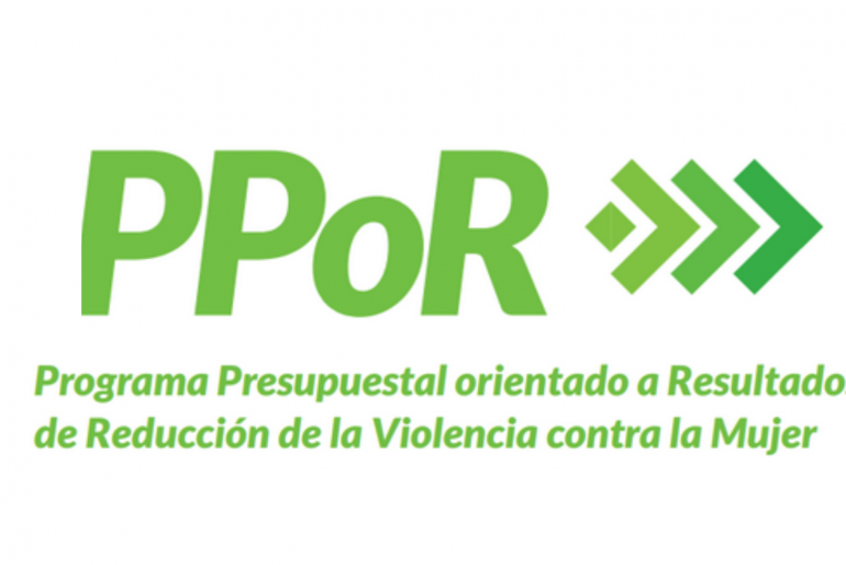 Aprueban disposiciones para la articulación y actuación conjunta y la Agenda de Trabajo 2021 para la implementación del Programa Presupuestal orientado a Resultados de Reducción de la Violencia contra la Mujer (PPoR RVcM)