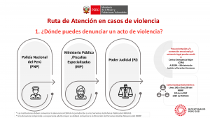Asistencia Técnica Funcionamiento del SNEJ y la Violencia Sexual normativa actual_1